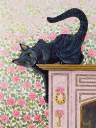 Les roses qui montent