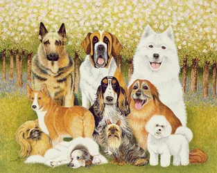 Chiens en mai