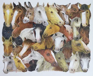Chevaux Chevaux (huile sur toile)