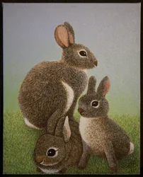 Famille Lapin, 2016