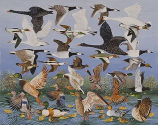Décollage