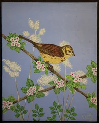 Marteau jaune, 2016