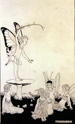 Leçons de fées