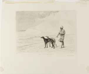 Relais de chiens dans le désert