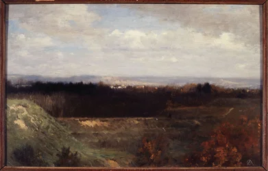 Vue du Bois de Boulogne depuis le Boulevard Suchet, vers 1860