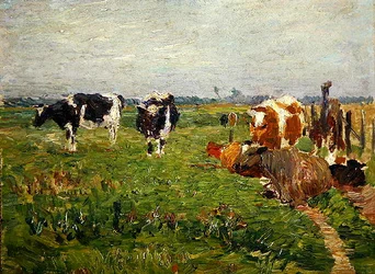 Paysage estival de plaine avec des vaches