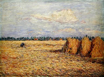 Paysage plat avec champ de céréales récoltées