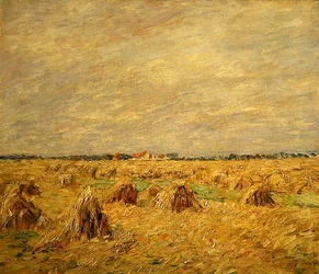 Champs récoltés dans un paysage plat