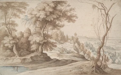 Paysage avec arbres et vue sur une vallée