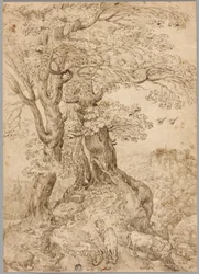 Paysage boisé avec ânes et chèvres, et château sur colline au loin