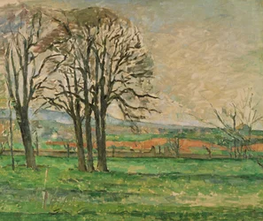 Les arbres dépouillés au Jas de Bouffan