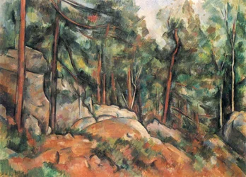 Intérieur de forêt