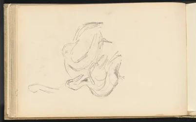 Pélicans