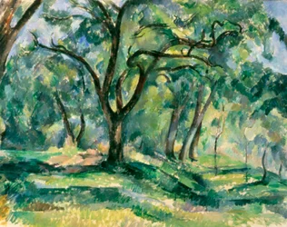 La forêt