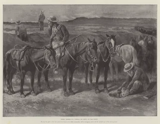 Chevaux boers dans un donga, ou faille, sur le veld