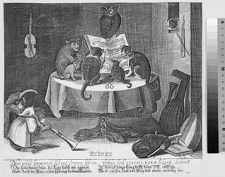 Concert de hibou, chats et singes