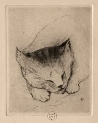 Six gravures : Tête d