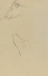 Tête d