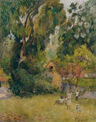 Cabanes sous les arbres