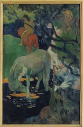 Le cheval blanc