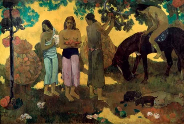 Rupe Rupe, récolte de fruits, 1899