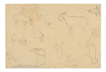 Esquisses de divers animaux et d