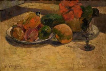 Nature morte avec mangue et hibiscus