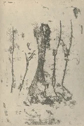 Étude, 1936