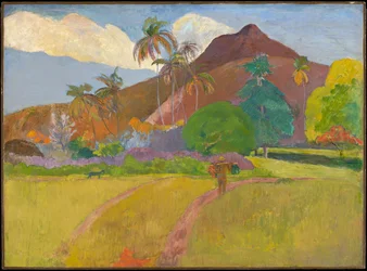 Paysage tahitien