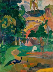 Matamoe (Mort), paysage avec des paons