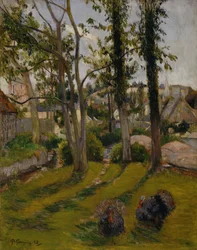 Les Dindes