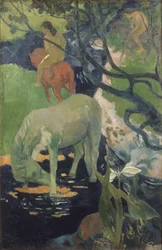 Le Cheval blanc