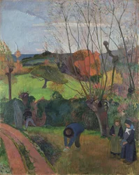 Le saule