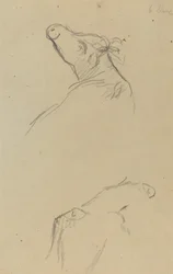 Deux têtes de vache [verso]