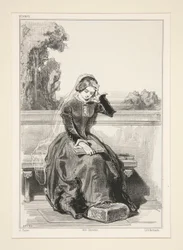 Rose De Tannebourg