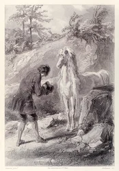 Le cheval s