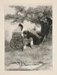 Un nid dans un bois