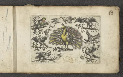 Paon et autres oiseaux, Oiseaux (titre de la série)