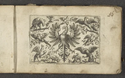 Rapace et onze autres oiseaux