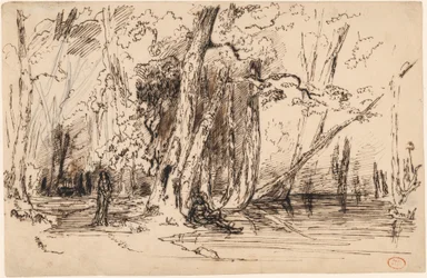 Inondation dans la forêt de l