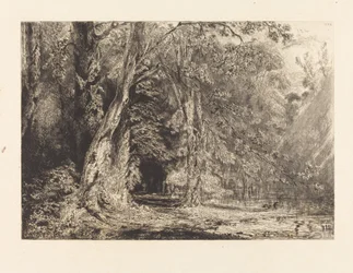 Inondation dans la Forêt de l