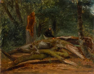 Dans la forêt