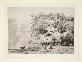 Bois près de Fontainebleau