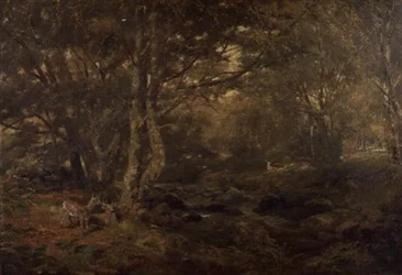 À travers le bois, Pont-y-Gytyn, nord du Pays de Galles