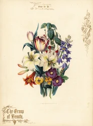 Bouquet de lys, tulipe, fuchsia, lys tigré