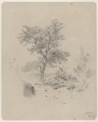 Paysage avec chêne