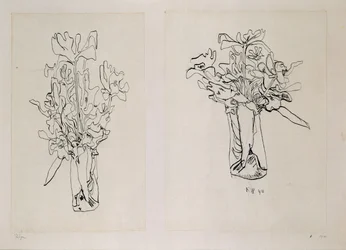 Tulipes