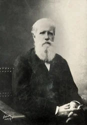Portrait de Dom Pedro , empereur du Bresil (photo)