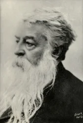 Portrait de Ernest Messonnier (photo)