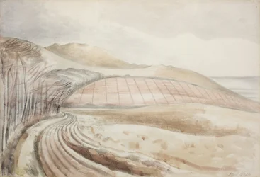 Paysage du Dorset